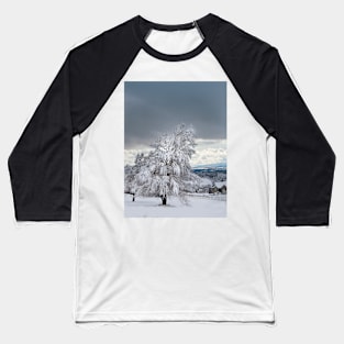 Winter Tree Baseball T-Shirt